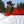 GNU Facts Snowboard - Men's - 2027