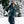686 Gore-Tex Willow Insulated Jacket - Women's