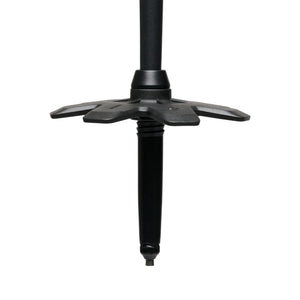 Black Diamond Alpine Carbon Cork Trek Poles - 2027