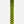 Black Crows Octo Skis - 2027 - Men's