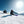 Black Crows Octo Birdie Skis - 2027 - Women's