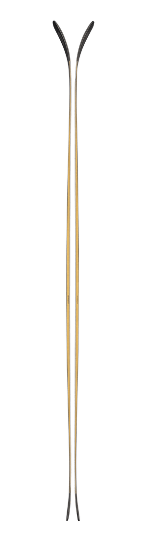 Blizzard Anomaly 88 Skis - Men's - 2027