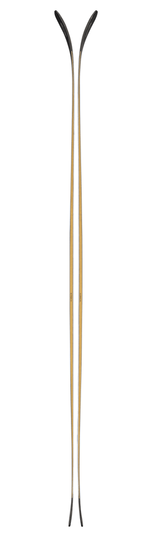 Blizzard Anomaly 94 Skis - Men's - 2027