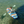 BOTE FlowRider Aero Kids Inflatable SUP Paddleboard 8' - 2026