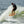 Connelly Big Easy Wakesurf Board - 2026
