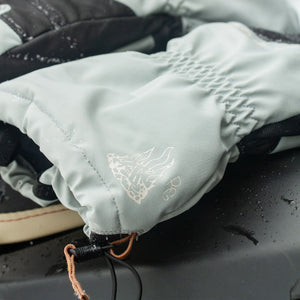 Dakine Team Excursion Gore-Tex Gloves - Men's