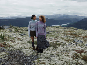 Dale of Norway Highland Sweater - Women's