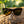 Electric Capri Sunglasses - Polarized - Park 2 Peak