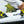 FCS II Al Merrick Quad Fin Set - 2026