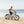 FCS Push Bike Rack Seat Surfboard Mount - 2026