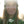 GNU Ladies Choice Snowboard - 2027 - Women's