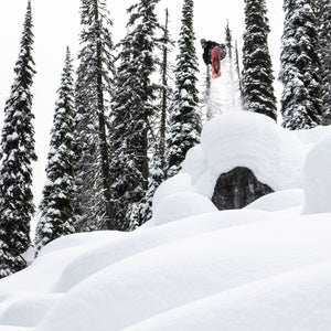 GNU Wagyu Snowboard - Men's - 2026