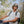Smith Guides Choice Sunglasses - ChromaPop - 2026