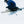 K2 Mindbender 96 Skis - 2027 - Men's