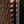 K2 Omen Team Skis - 2027 - Men's