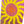 Landyachtz Clark Sun Jam Complete Longboard - 2026