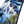 Lib Tech Skunk Ape Camber Snowboard - Men's - 2027