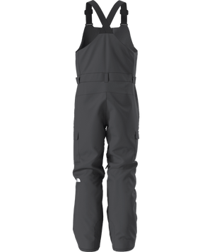 The North Face Freedom Bib Snow Pant - Men's