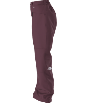The North Face Freedom Insulated Snow Pant - Women's