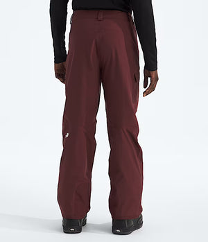 The North Face Freedom Snow Pant - Men's