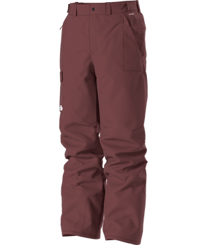 The North Face Freedom Snow Pant - Men's