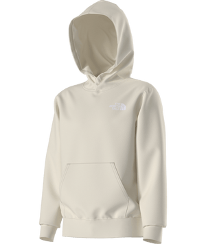 The North Face Evolution Print Box NSE Pullover Hoodie - Teen