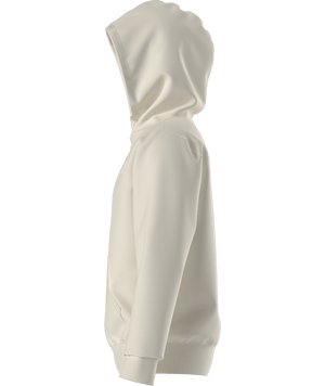 The North Face Evolution Print Box NSE Pullover Hoodie - Teen