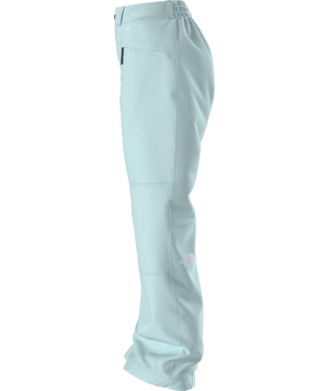 The North Face Freedom Insulated Snow Pant - Women's