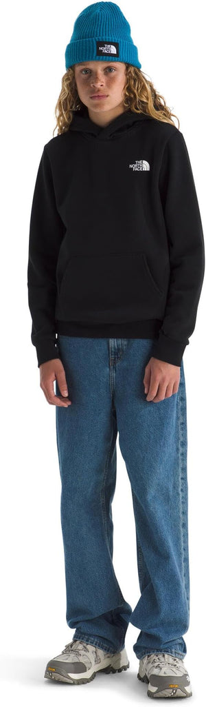 The North Face Evolution Box NSE Pullover Hoodie - Teen