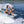 O'Brien Havana Wakesurfer - 2026