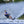 O'Brien Junior Pro Tour 58