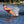 O'Brien Vortex 65.5