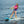O'Brien Freeboard V2 Multipurpose Board - 2026