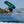O'Brien Sozo Kneeboard - 2026