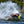 O'Brien Sozo Kneeboard - 2026