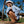OluKai Ho'opio Malua Sandals - Women's
