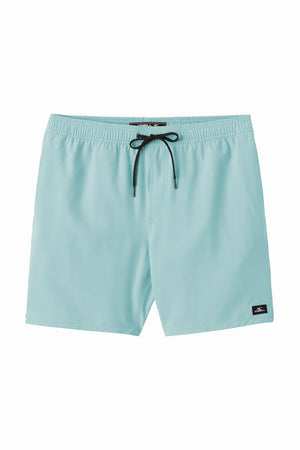 O'Neill Lennox Hermosa 17" Swim Trunks - Men's