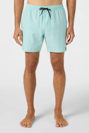 O'Neill Lennox Hermosa 17" Swim Trunks - Men's