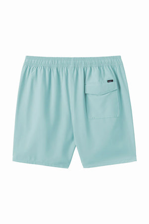 O'Neill Lennox Hermosa 17" Swim Trunks - Men's