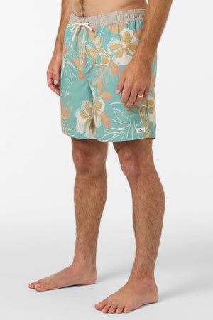 O'Neill Hermosa Elastic Waist Lined 17" Swim Trunks - Men's