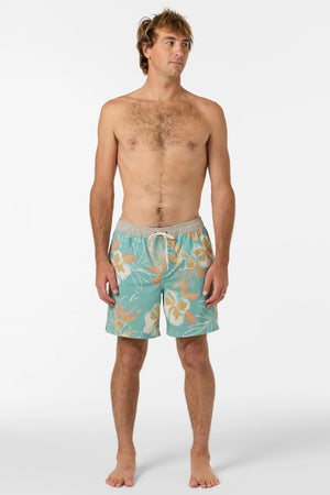 O'Neill Hermosa Elastic Waist Lined 17" Swim Trunks - Men's