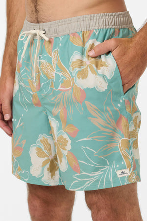 O'Neill Hermosa Elastic Waist Lined 17" Swim Trunks - Men's