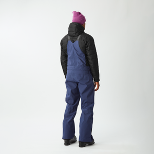 Picture Testy Bib Snow Pants - Men's