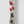 Capita Birds of a Feather Snowboard - 2027 - Women's