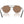Ray Ban Round RB3765 Sunglasses - 2026 - Women's
