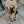Reef Cushion Phantom 2.0 Leather Sandals - Men's