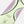 Ride Compact Snowboard 2027 - Women's