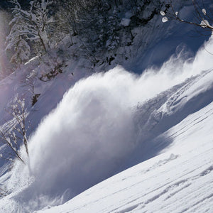 Rome Ravine Snowboard - Women's - 2026