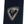 Rossignol Evo XT 60 Positrack Cross Country Skis w/Tour Bindings - Adult - 2026