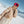 Roxy Incline Snow Jacket - Women's